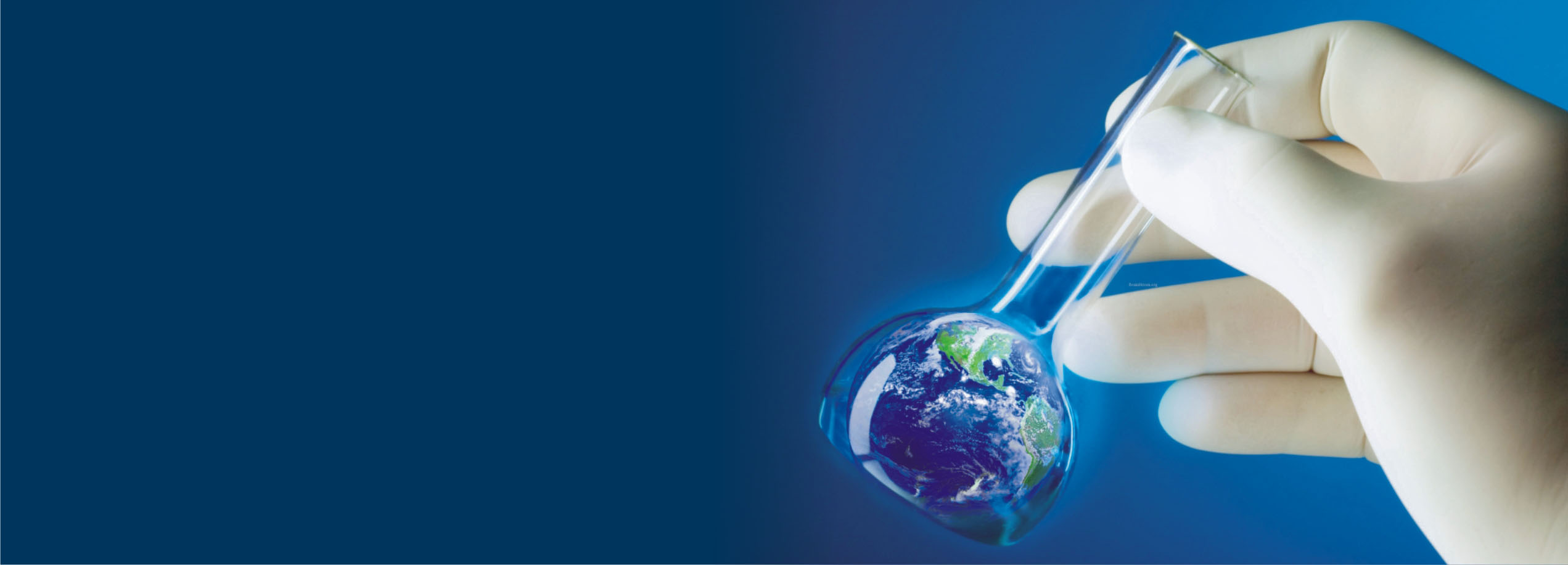 VAAGDEVI INSTITUTE OF PHARMACEUTICAL SCIENCES